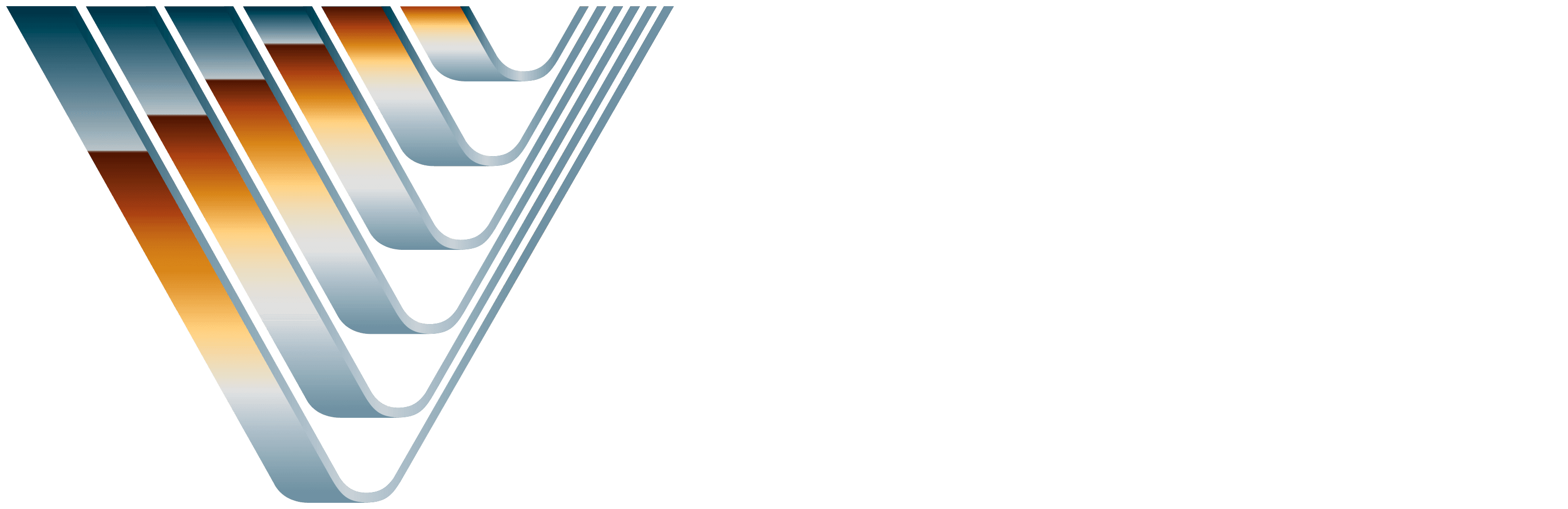 Village Roadshow Logo